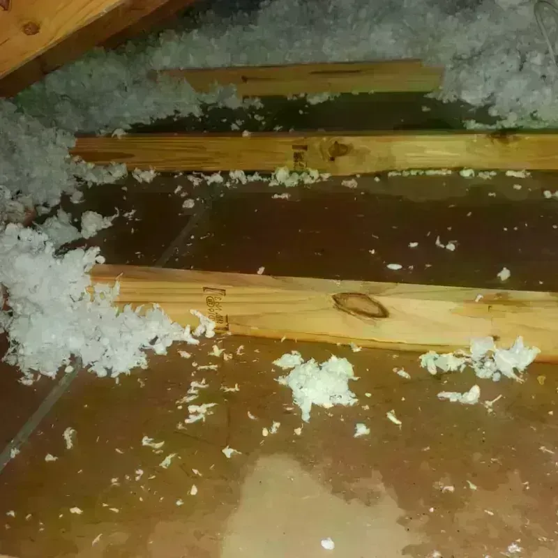 Attic Water Damage in Greenville, NC