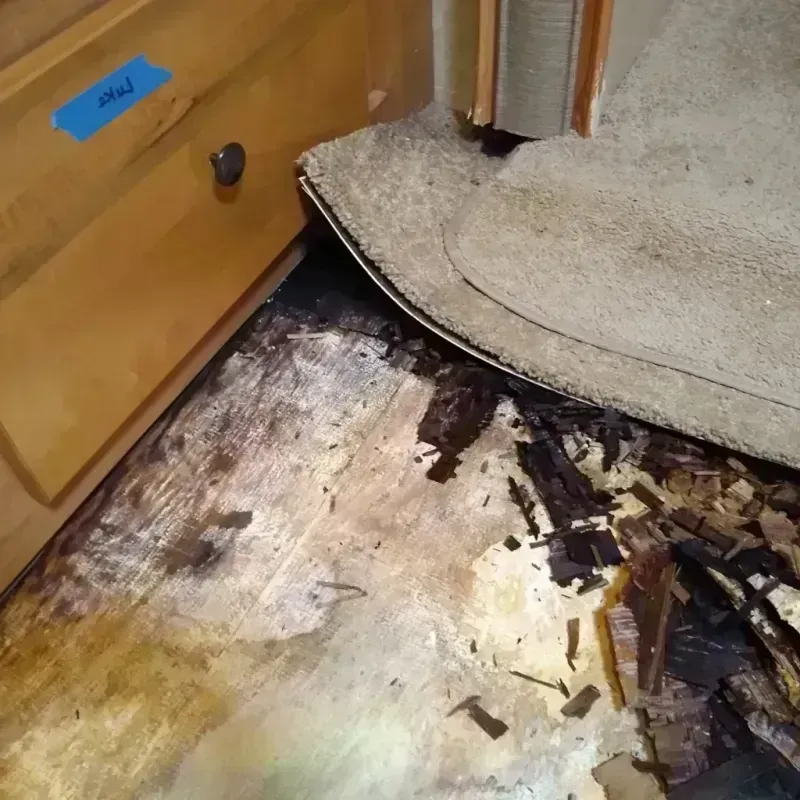 Wood Floor Water Damage in Greenville, NC